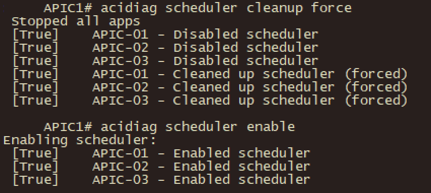 Running the Commands on an APIC